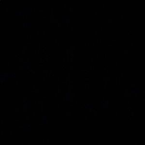 Meet your Posher, Valeria